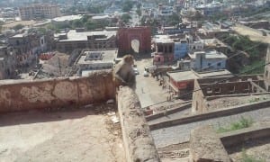 Backpacking in Rajasthan - Monkey temple